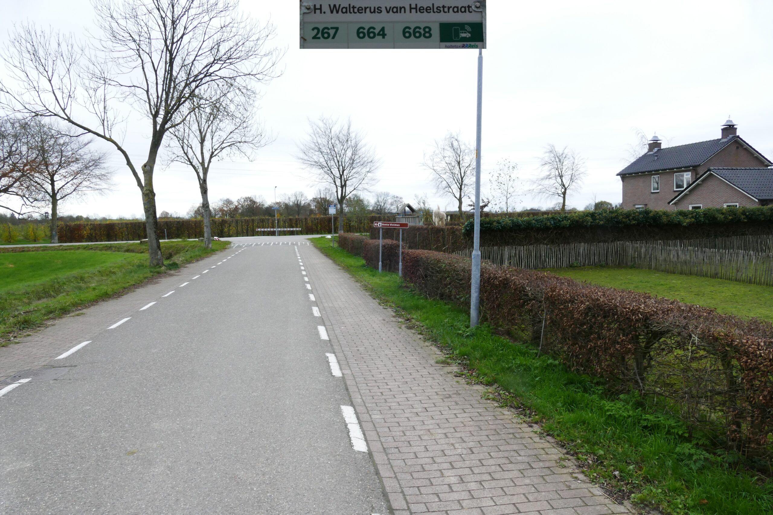 Hendrik Walterus van Heelstraat